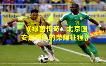 《绿茵传奇：北京国安足球队的荣耀征程》