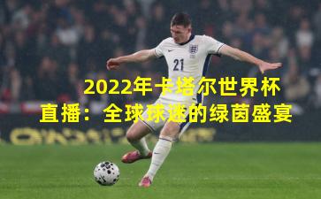 2022年卡塔尔世界杯直播：全球球迷的绿茵盛宴