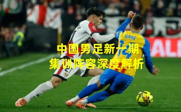 中国男足新一期集训阵容深度解析