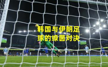 韩国与伊朗足球的绿茵对决