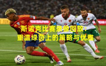 斯诺克比赛录像回放：重温绿茵上的策略与优雅