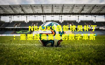 NBA2K9最新球员补丁：重塑经典赛场的数字革新